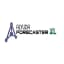 Alyuda Forecaster XL