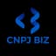 CNPJ Biz