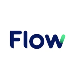 Logo Flow PDV